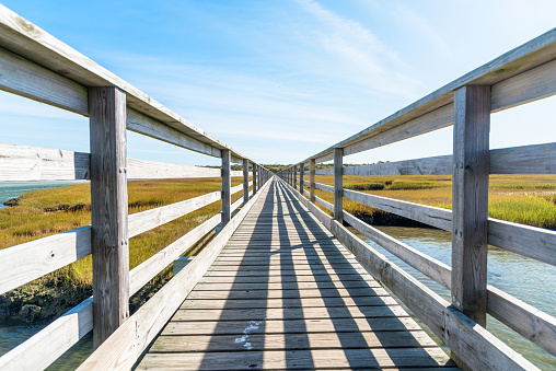 Empty fenced boardwalk through a coastal marsh on a clear autumn day. Converging lines. Cape Cod, MA, USA.