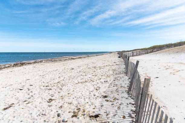 istock Beautiful deserted sandy beach stretching for miles and blue sky 1318627844
