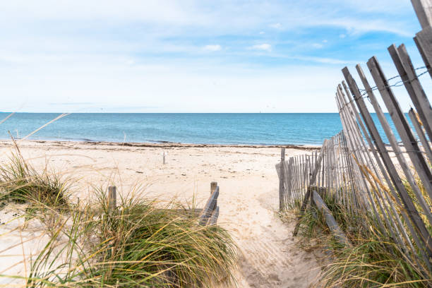 istock Path through grassy sand dunes to a deserted beach in autumn 1318627866