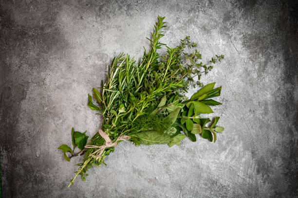 Bouquet of fresh green Mediterranean herbs on a gray rustic background. Top view with copy space text. Healthy eating concept. Italian condiments concept.