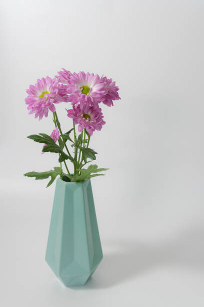 istock Pink chrysanthemums on white background in a vase close up 1318629695