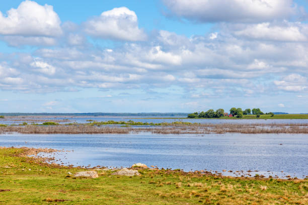 istock View of a lake from a beach 1318630766