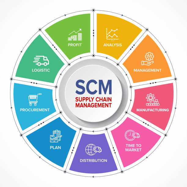 ilustraciones, imágenes clip art, dibujos animados e iconos de stock de scm - banner conceptual de gestión de la cadena de suministro y diagrama de flujo infográfico con iconos vectoriales establecidos. - warehouse conversion