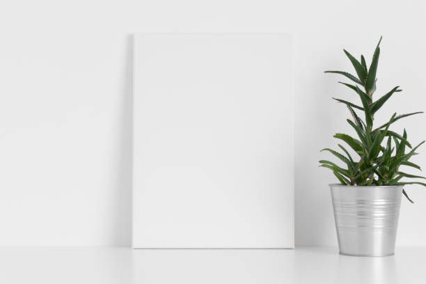 istock White canvas mockup with an aloe vera plant on the table. 1318636893