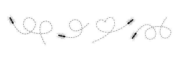 Cute ant set walking on a dotted line route. Cute ant set walking on a dotted line route. Line of working ants. Vector illustration isolated on white ant stock illustrations