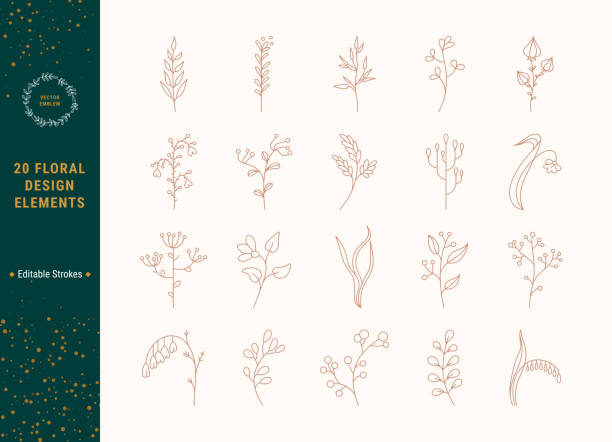 ilustrações de stock, clip art, desenhos animados e ícones de botanical vector linear icon set for logo design. thin line illustration clip art collection isolated on background. - clipping path wedding invitation invitation message