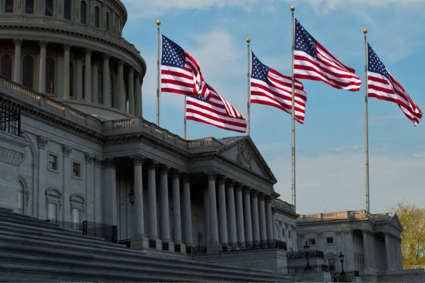 istock US Politics - Capitol Building & Flags 1318639791