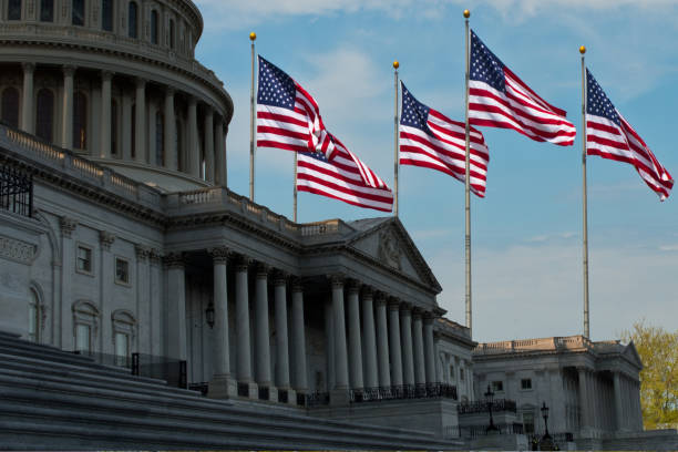 US Politics - Capitol Building & Flags US Politics - Capitol Building & Flags house of representatives photos stock pictures, royalty-free photos & images