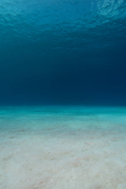 caribbean sea - bottom sea imagens e fotografias de stock