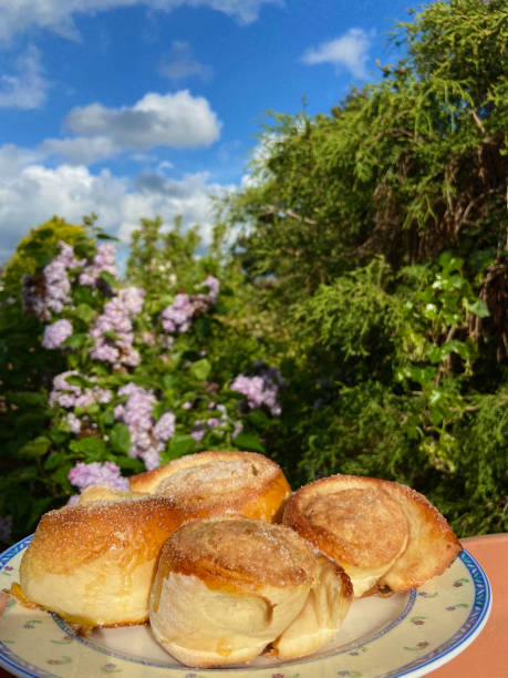 Cinnamon buns and beautiful nature