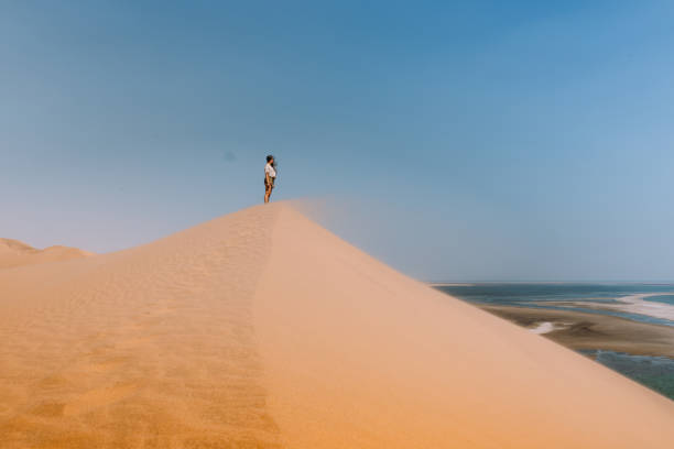 Woman staying on the top of the dune exploring the beautiful landscape at Sandwich Harbour, Namibia Young woman traveling in Namibia, walking at the big dunes meeting the ocean at Namib-Naukluft National Park namib sand sea stock pictures, royalty-free photos & images