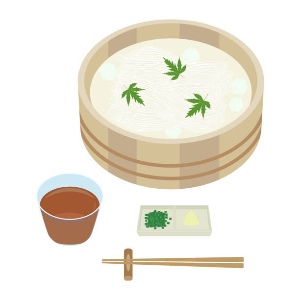 서머 일러스트레이션 - washtub stock illustrations