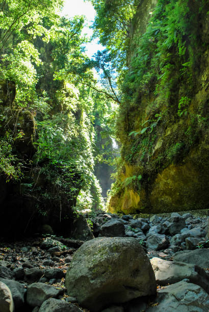 istock waterfall in forest, digital photo picture as a background 1318655829