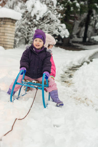 istock Winter fun in the yard 1318657035