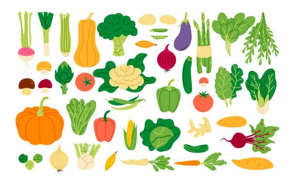 illustrations, cliparts, dessins animés et icônes de collection de légumes frais dans le style plat. ensemble de récolte de grands légumes verts. différents aliments végétariens. - artichaut