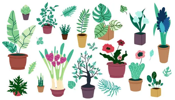Vector illustration of Houseplants elements collection.