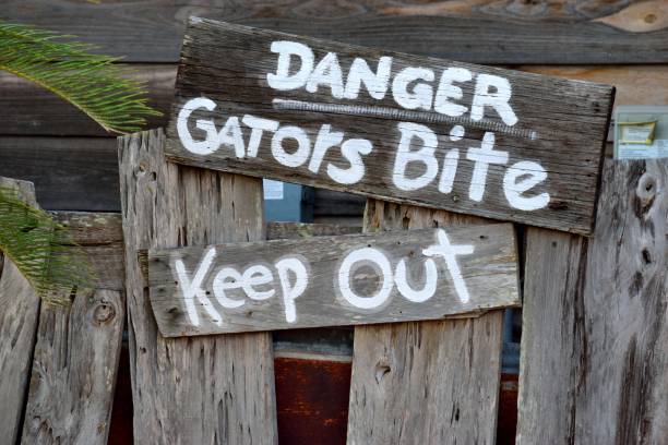 istock Warning Sign of Gators in the area 1318657516