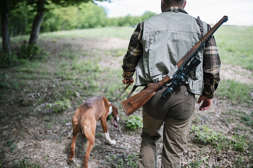 A rear view of a hunter with hunting dog tracking animal trail.