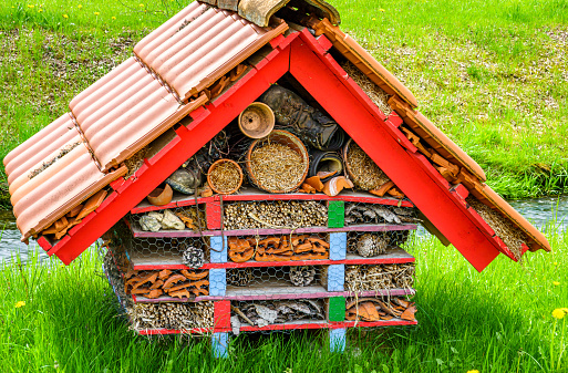 insect hotel at a farm - photo
