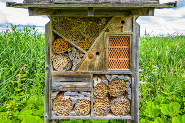 istock insect hotel at a farm 1318665441
