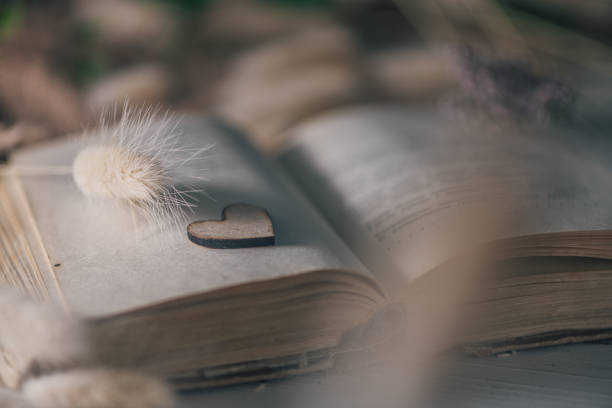 istock book with flower and heart. romance, nature, reading. 1318666911