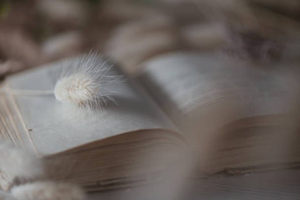 istock book with flower. romance, nature, reading, love 1318666914