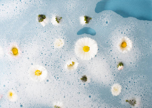 istock White daisy flowers in the water with foam. 1318667879