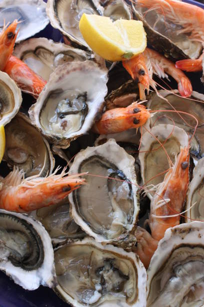 istock Seafood Shrimp and Oysters  Hors d'oeuvre Buffet 1318670430