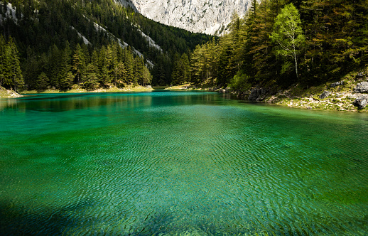 Green water of gruner see lake in styria, Austria. Tourist destination, hiking spot.