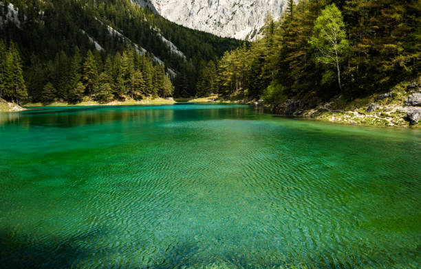 zielona woda gruner zobaczyć jezioro w styrii, austria. - gruner zdjęcia i obrazy z banku zdjęć