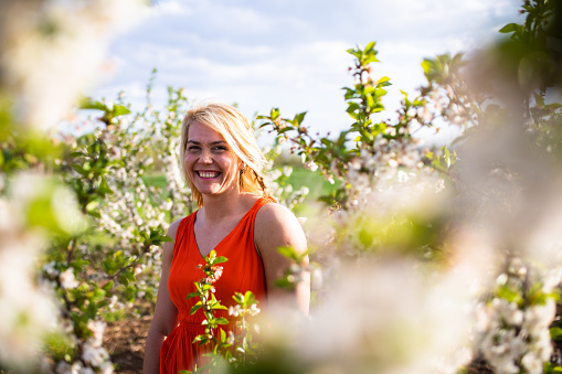 A happy young blonde is smiling at the camera surrounded by blossoms in an orchard
