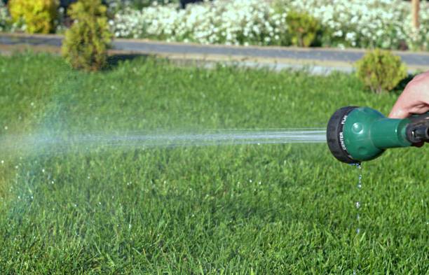 istock watering the green lawn 1318672467
