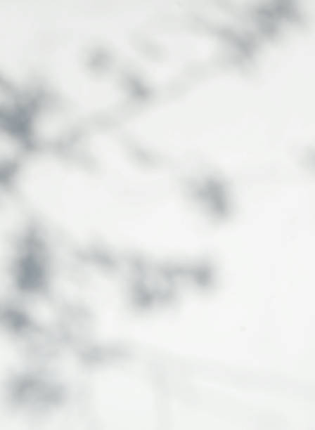 istock Defocused shadows of branches overlay.Abstract defocused shadows on white background. 1318673261