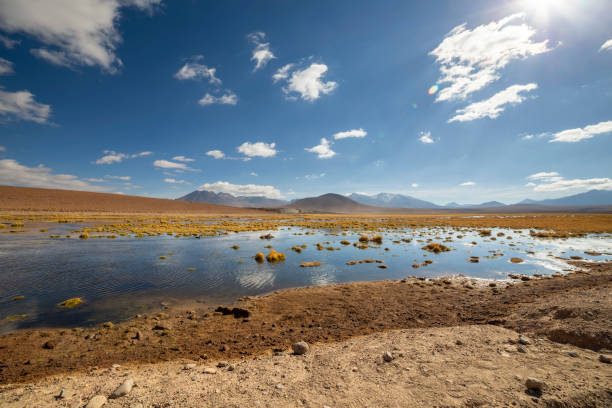 vista dalla strada panoramica per el tatio geysers, cile - geyser nature south america scenics foto e immagini stock