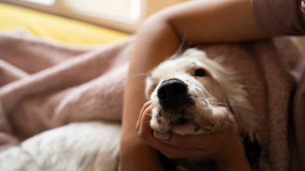istock Do I believe in love at first sight? 1318674909