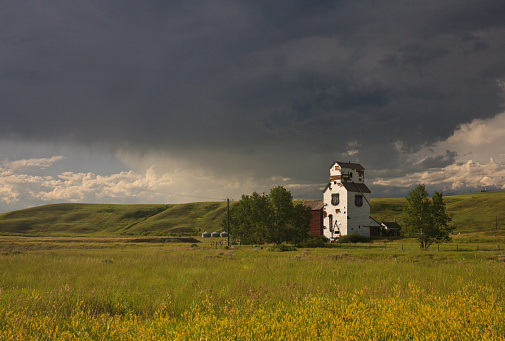 A classic Canadian prairie town - Sharples, Alberta - in a stunning storm. Ripe canola field in foreground.