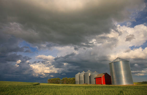 istock Grain Bins And Stormy Sky On The Great Plains 1318677407