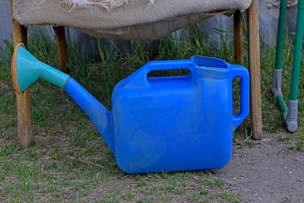 istock Blue plastic watering can in the garden in summer 1318678072