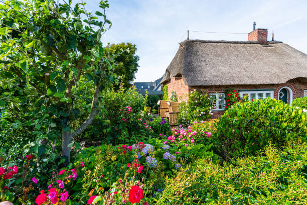 Sylt, Germany - June 24,2019: A beautiful garden with flowers in front of a house with a thatched roof