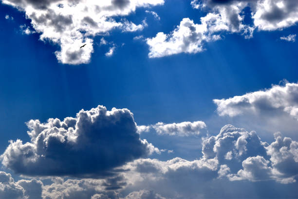 istock Blue and white cumulus clouds during the day 1318678211