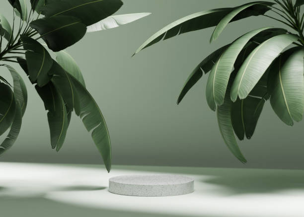 istock 3D background with stone podium display. Nature rock pedestal with tropical palm leaf and shadow on green background. Cosmetic, beauty product promotion stand with plant. Studio 3D render illustration 1318679362