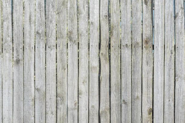 istock Close up image of the old wooden texture. 1318679404
