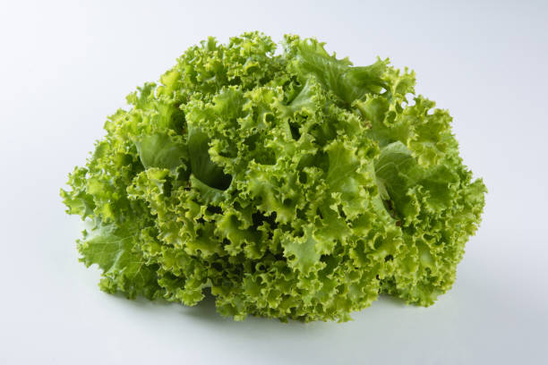 istock Raw green lettuce isolated on white background 1318679590