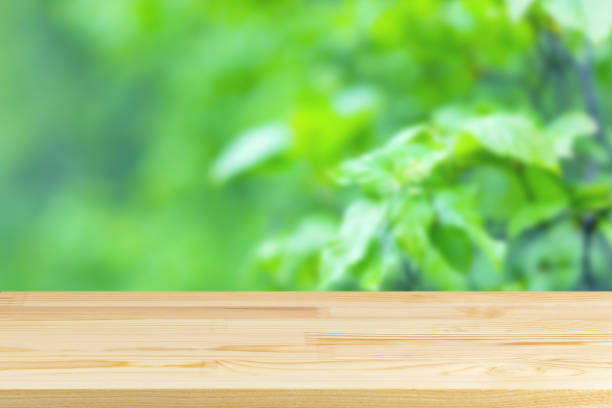 istock wood table top on blur green bush background 1318679603