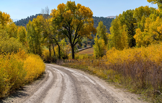 Autumn morning view of a back country road winding through a mountain ranch. County Road 9, aka West Dallas Road, Ridgway-Telluride, Colorado, USA.