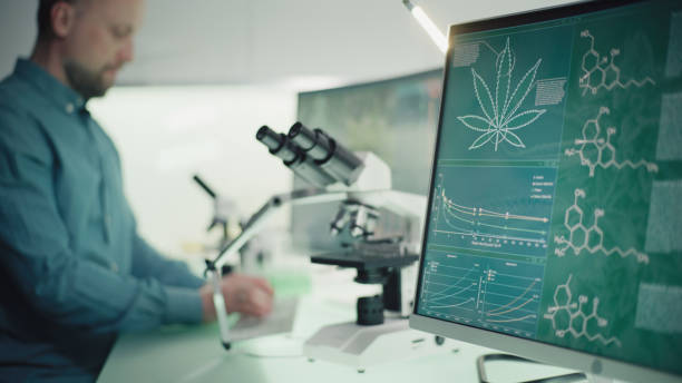 scientist testing medical marijuana. charts and models on computer screens. modern laboratory interior - medical marijuana imagens e fotografias de stock