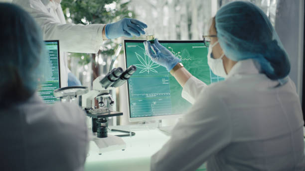 pesquisa de maconha medicinal. preparando óleo de cbd farmacêutico. frasco que passa com amostra de óleo - cânhamo - fotografias e filmes do acervo