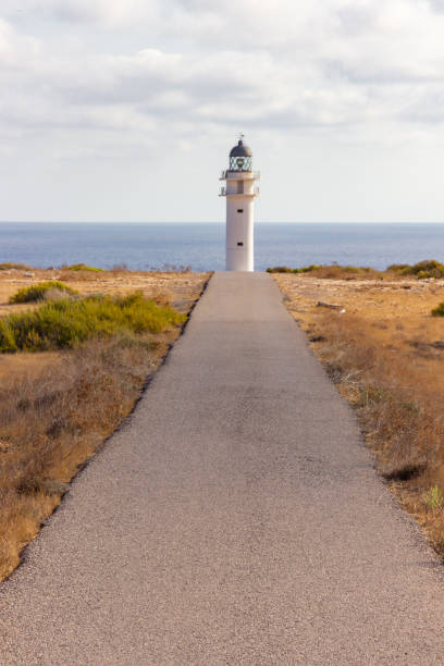 Prickly pear frames white lighthouse at dawn,  Far de la Mola, Formentera island, Balearic Islands, Mediterranean Sea, Spain