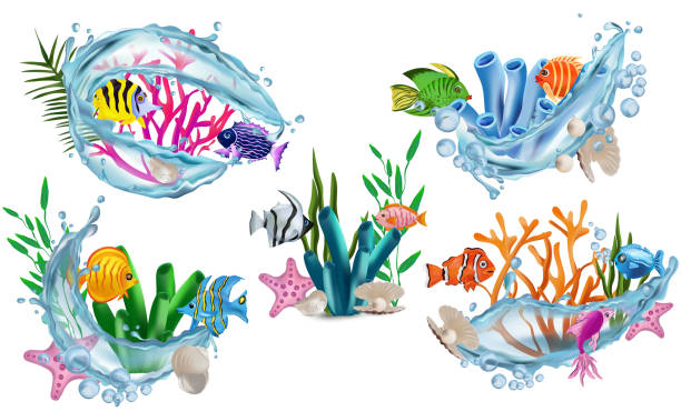ilustrações de stock, clip art, desenhos animados e ícones de funny tropicals colorful fish, seaweed, corals, starfish, shell with pearl, shell, water splash. underwater world, cartoon character. 3d vector illustration. - freshwater pearl