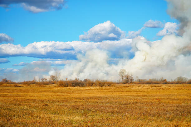 istock Smoke from a forest fire rises into the sky on sunny autumn day 1318682631